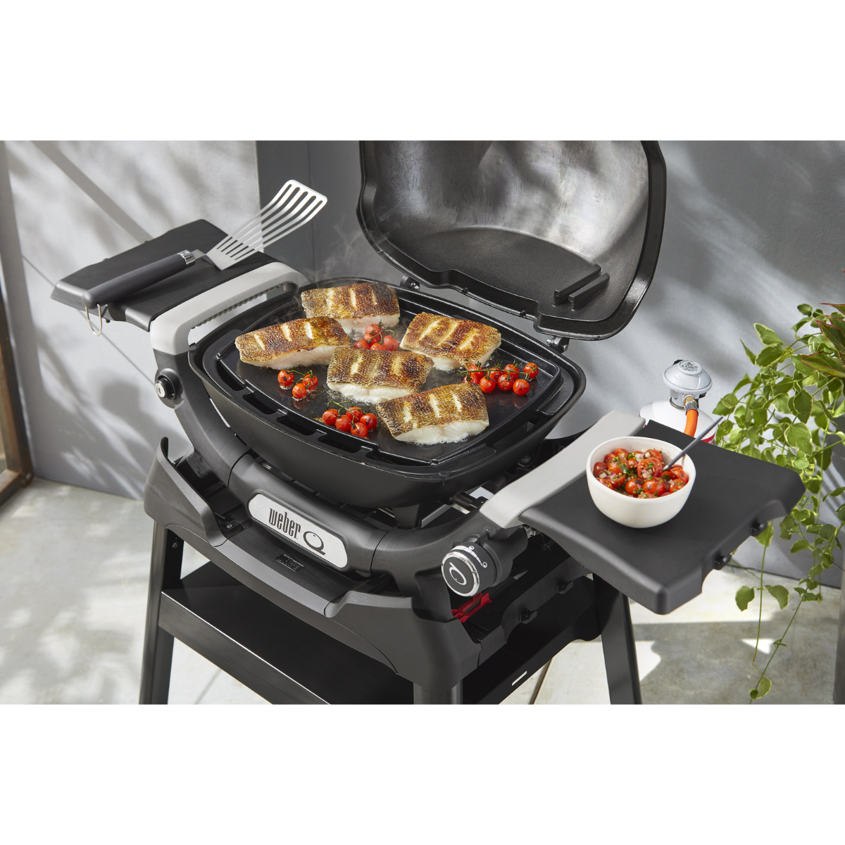 Plancha integral para Q 1100N/1200N - Imagen 4